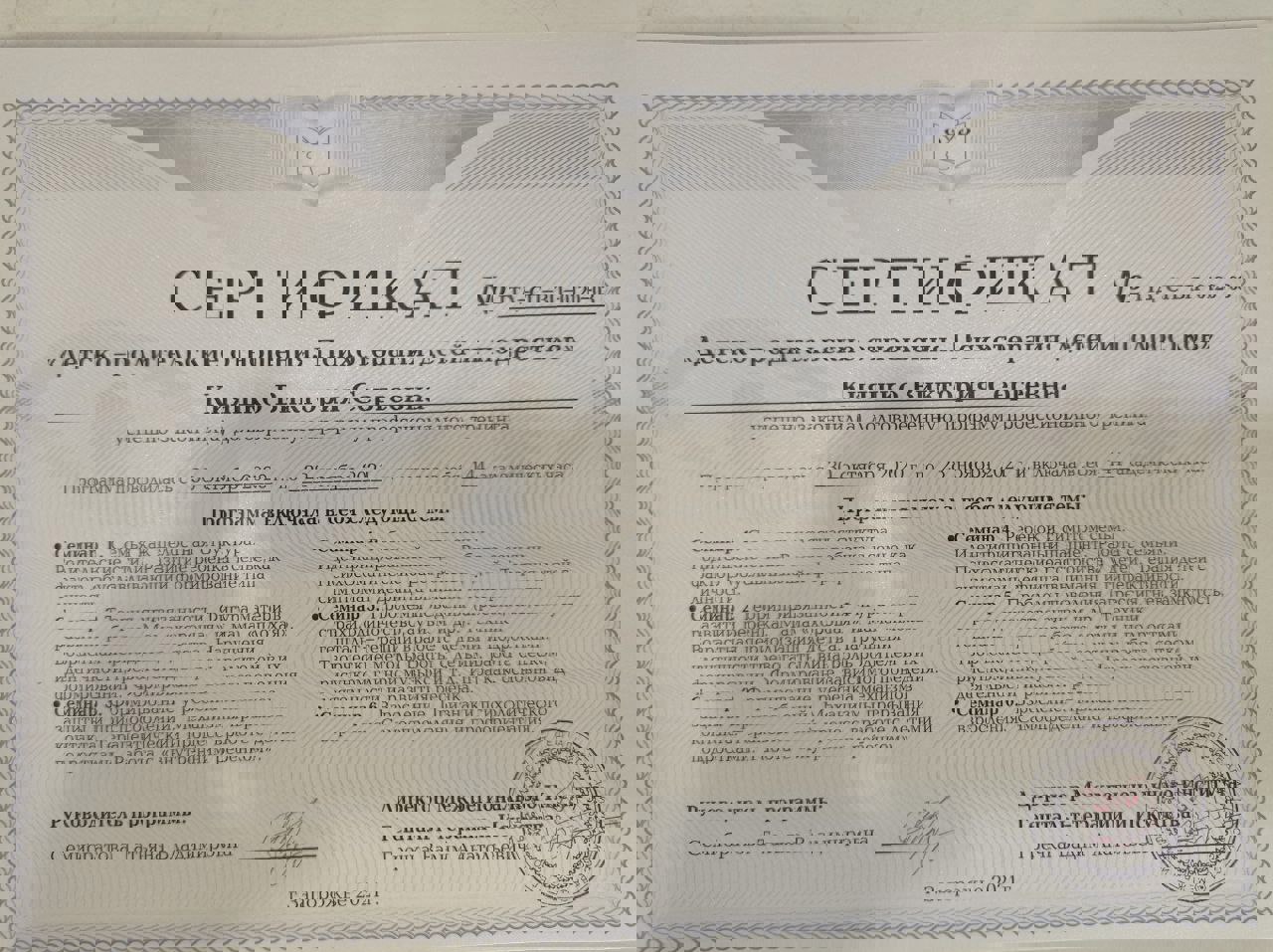 Сертифікат 4 Вікторія Ки...