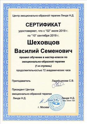 Сертификат 1 Василий Ше...