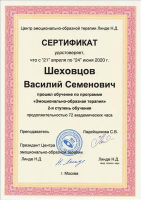 Сертификат 2 Василий Ше...