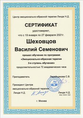 Сертификат 3 Василий Ше...