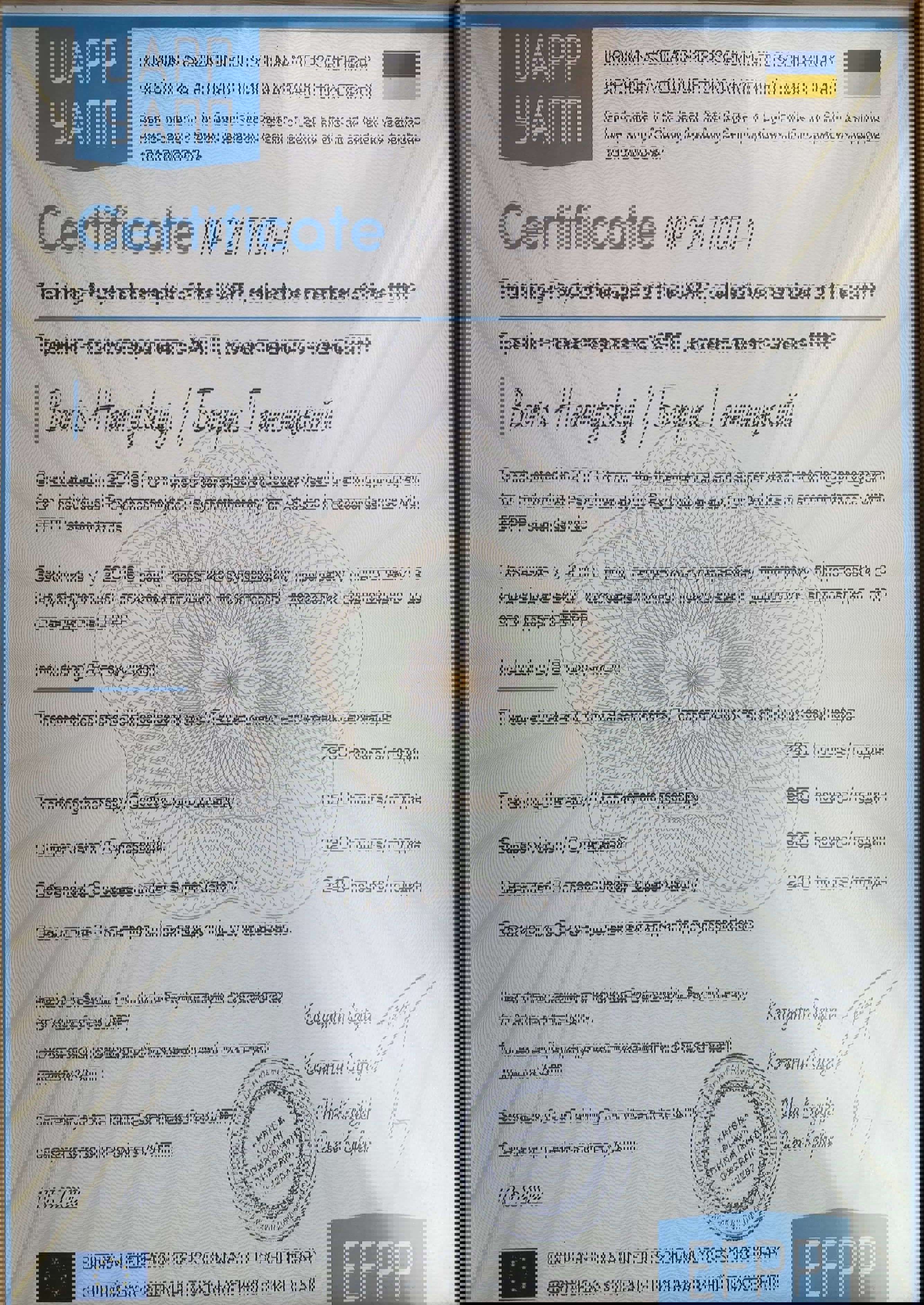 Сертификат 2 Борис Га...