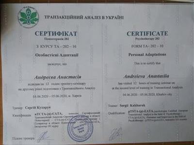 Сертифікат 2 Анастасія Ан...