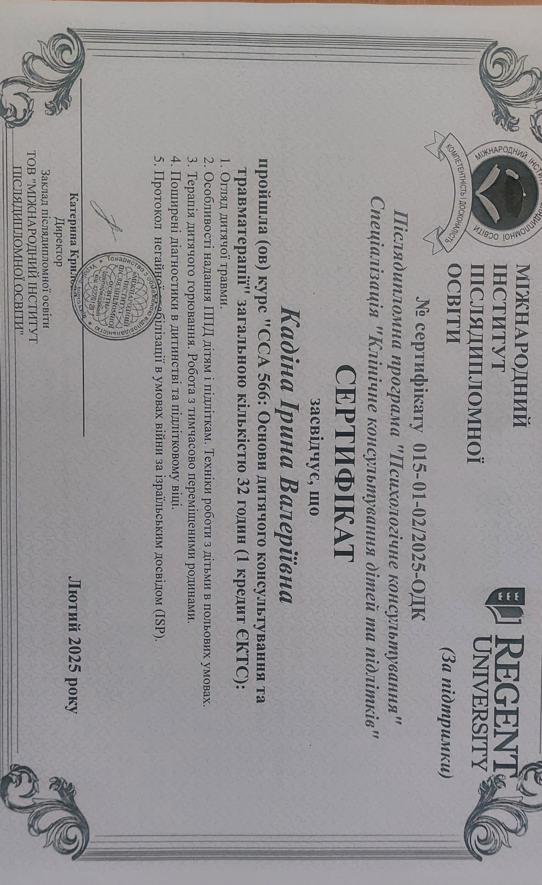 Сертификат 4 Ирина  Ка...