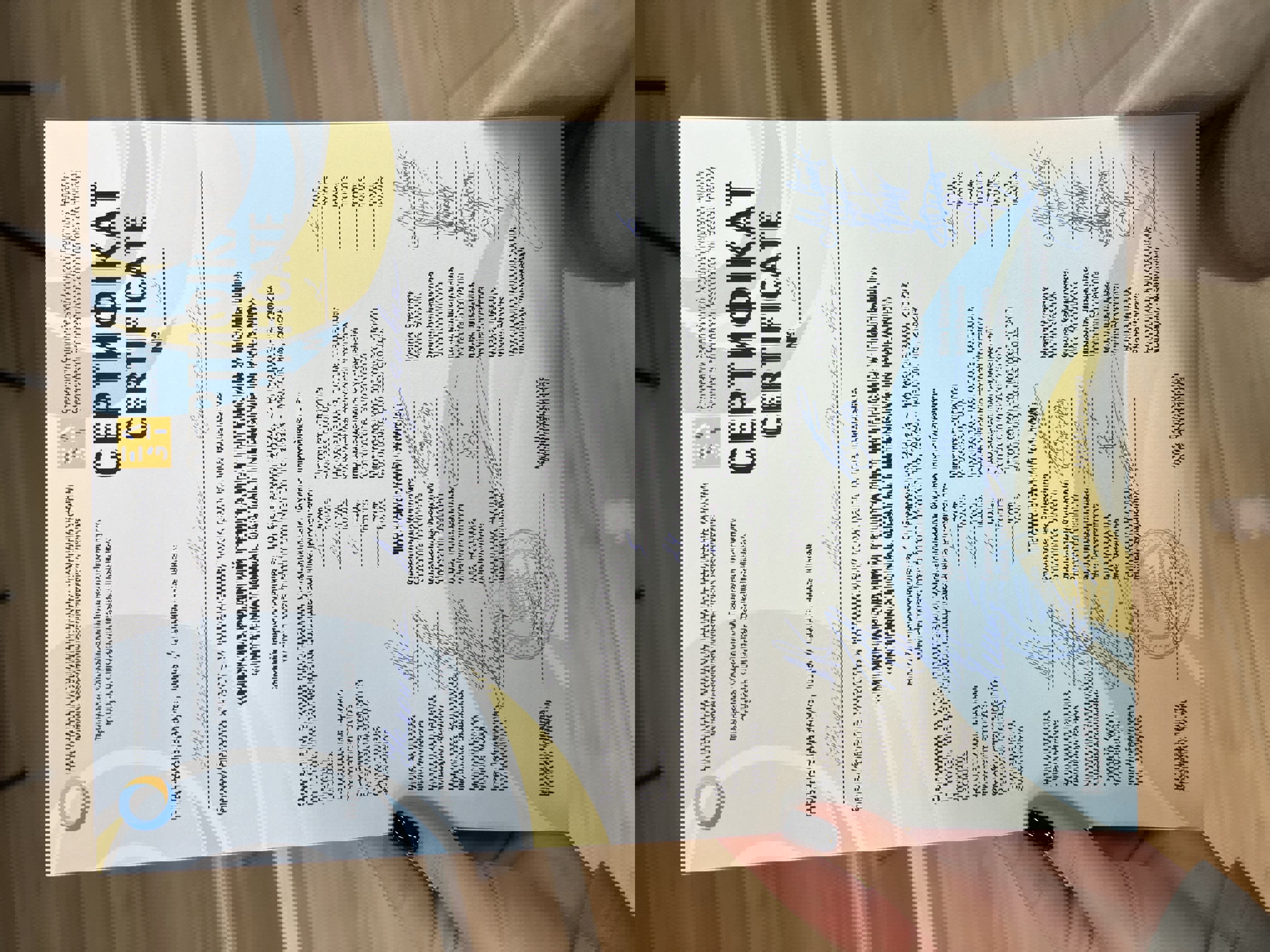 Сертификат 4 Алина На...