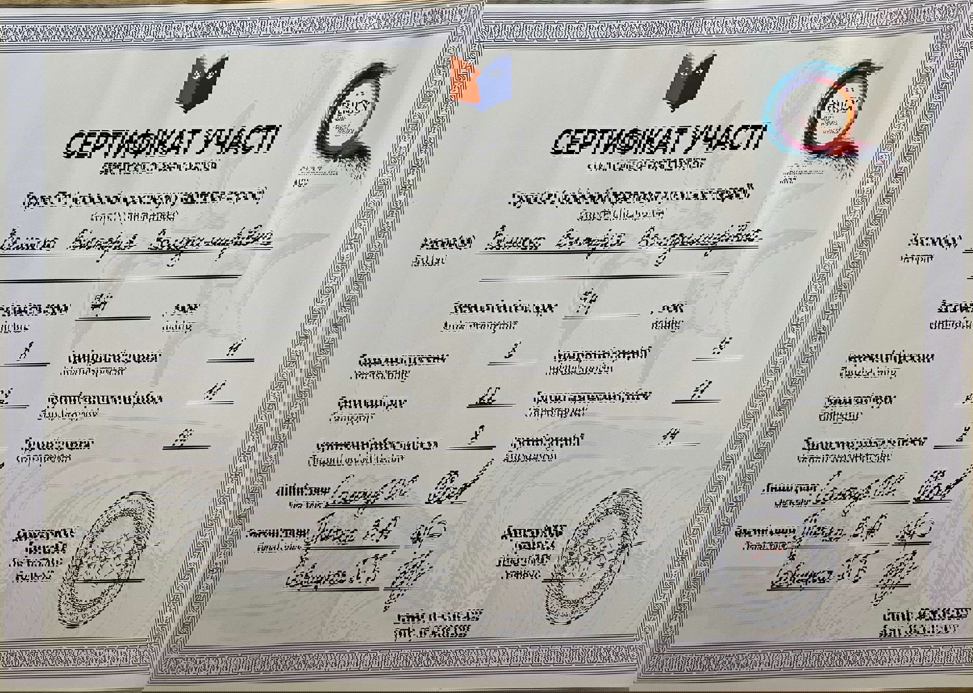 Сертификат 2 Виктория Ве...