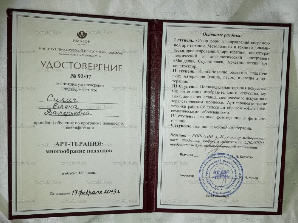 Сертификат 2 Елена Си...