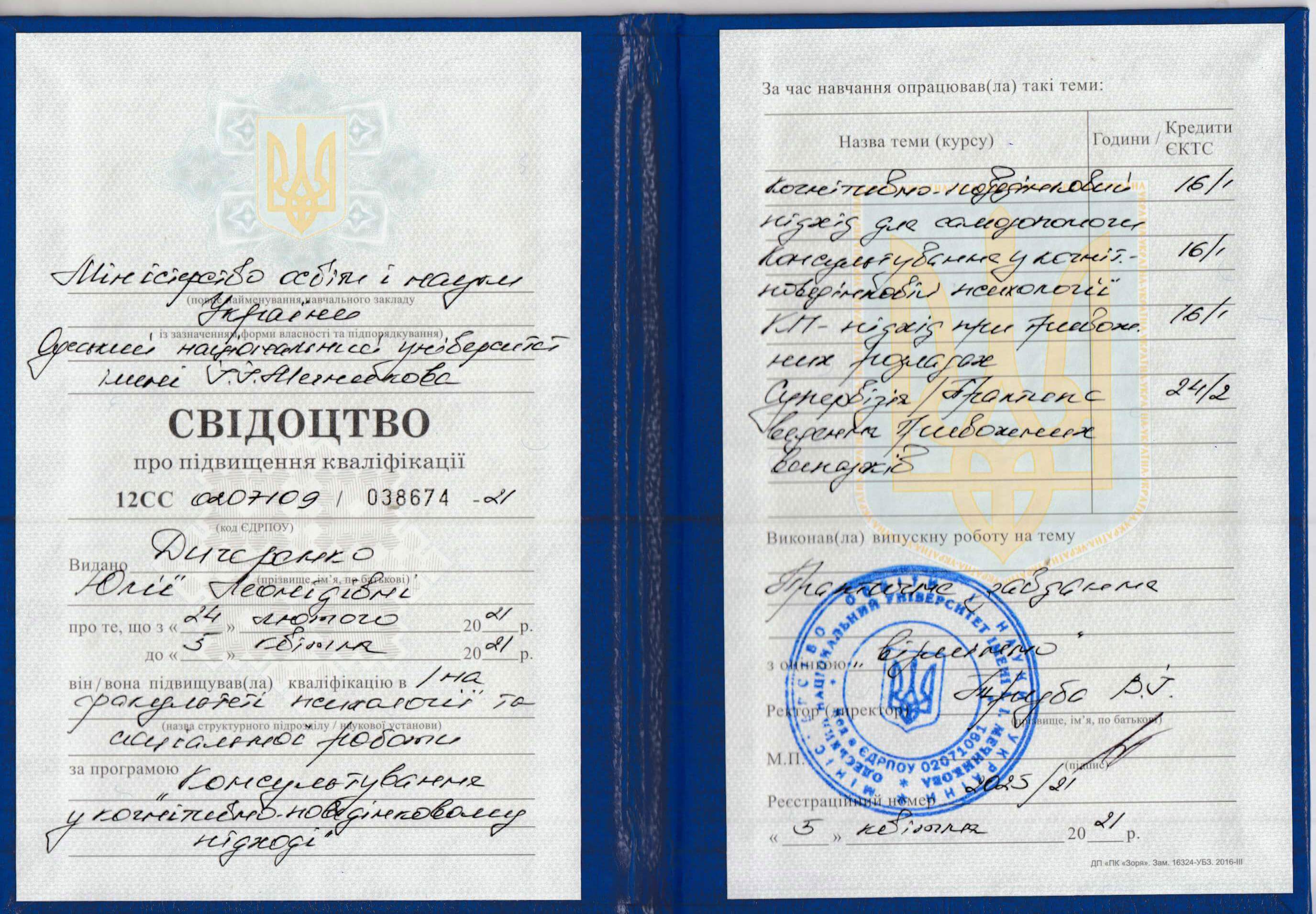 Сертифікат 2 Юлія  Ди...