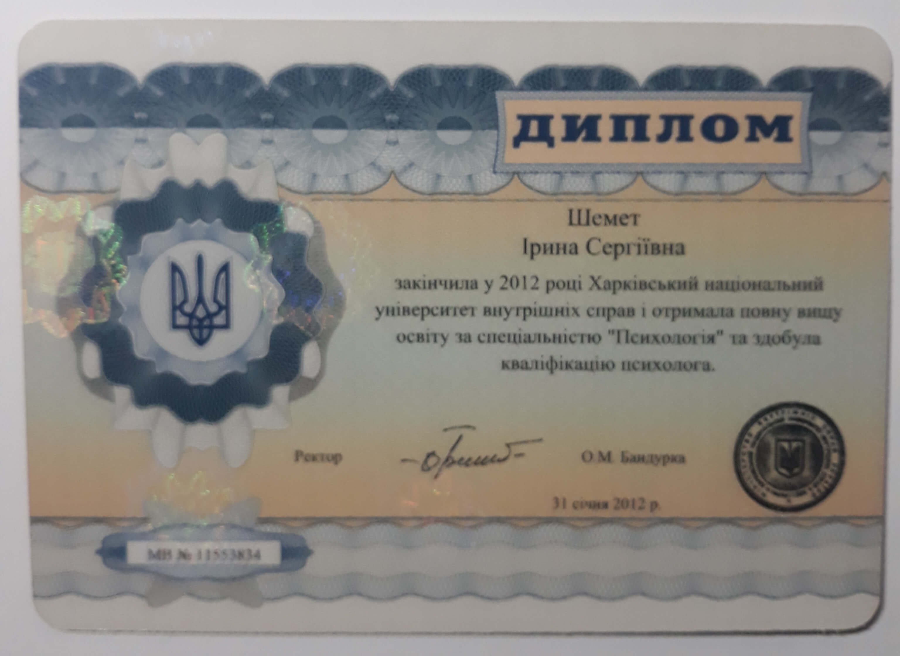 Сертификат 1 Ирина Ше...