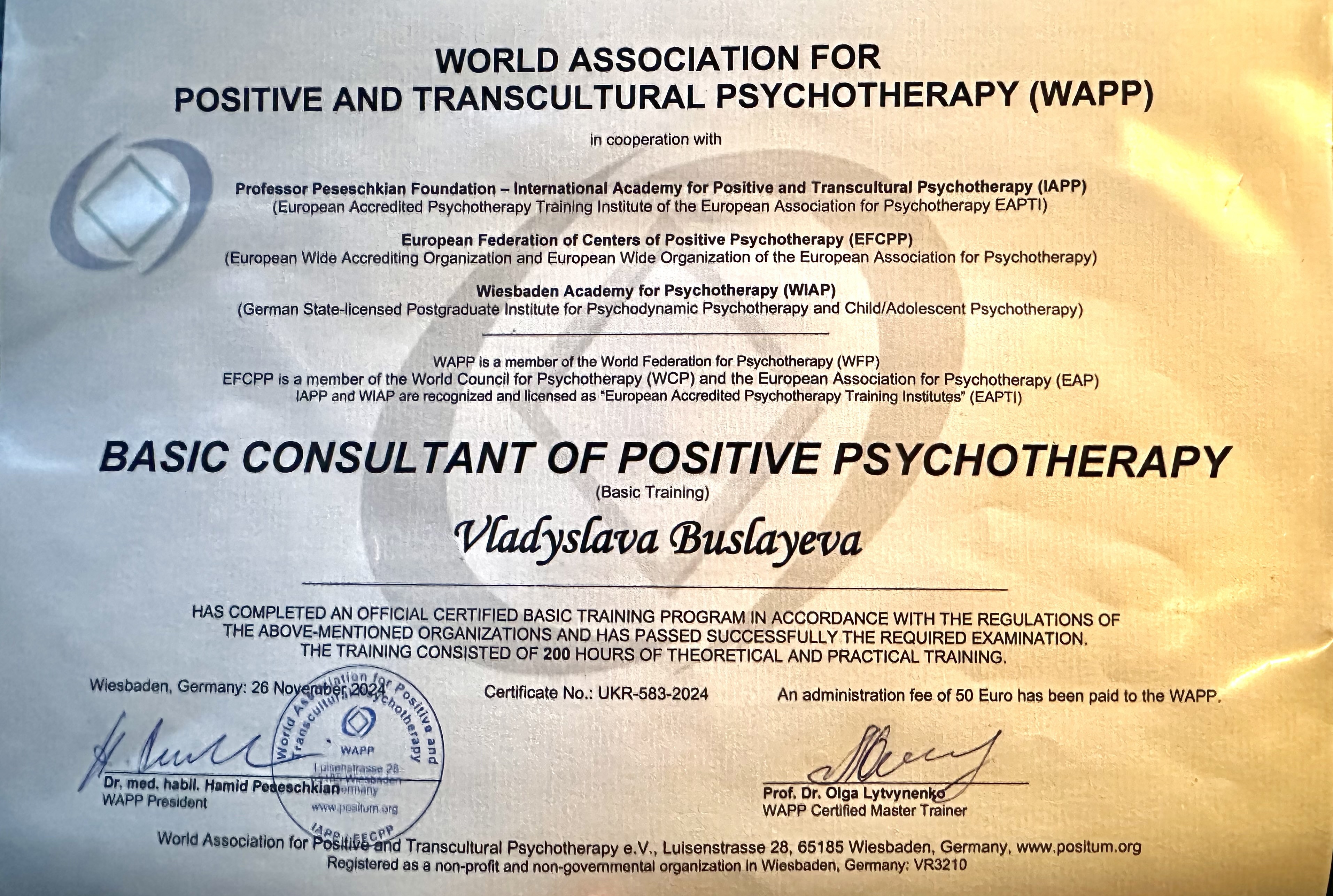 Сертифікат 2 Владислава Бу...