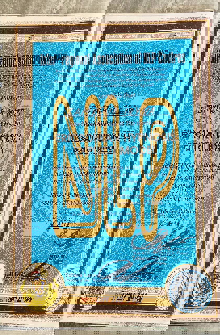 Сертифікат 2 Ірина За...