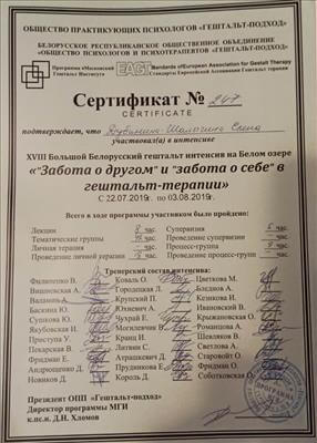Сертификат 5 Елена  Ду...