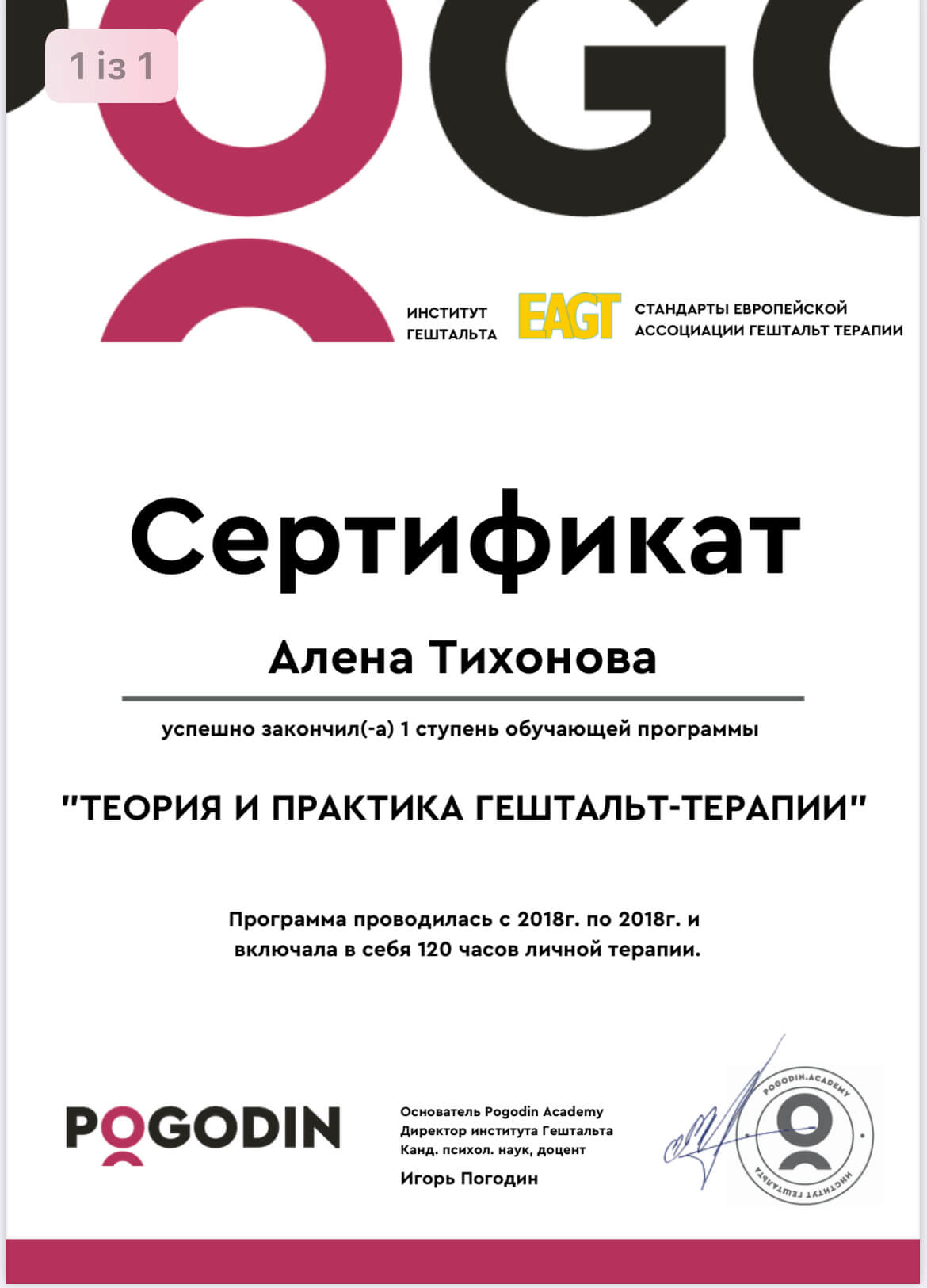 Сертифікат 2 Олена Ти...