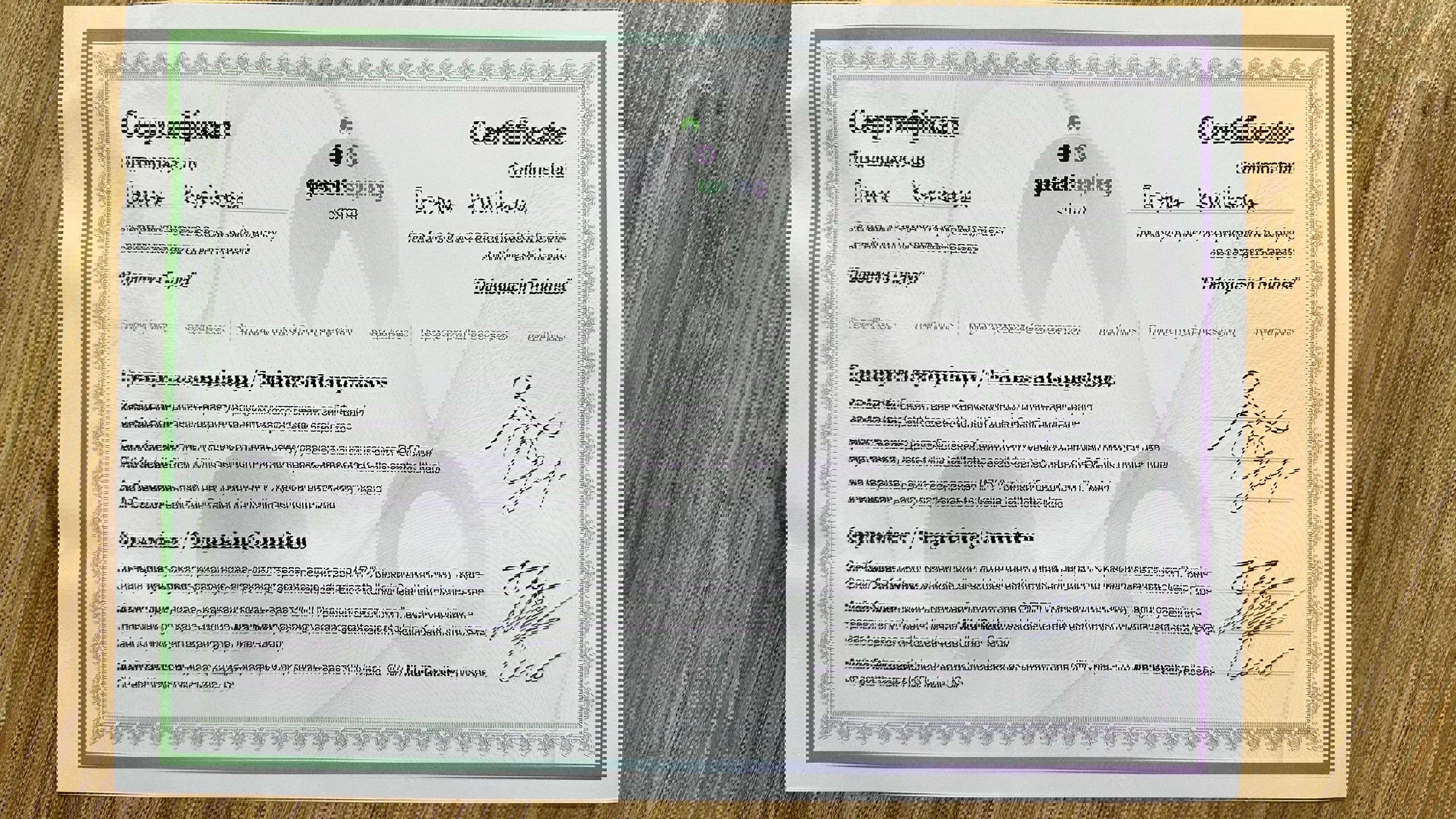 Сертифікат 2 Ірина Ку...