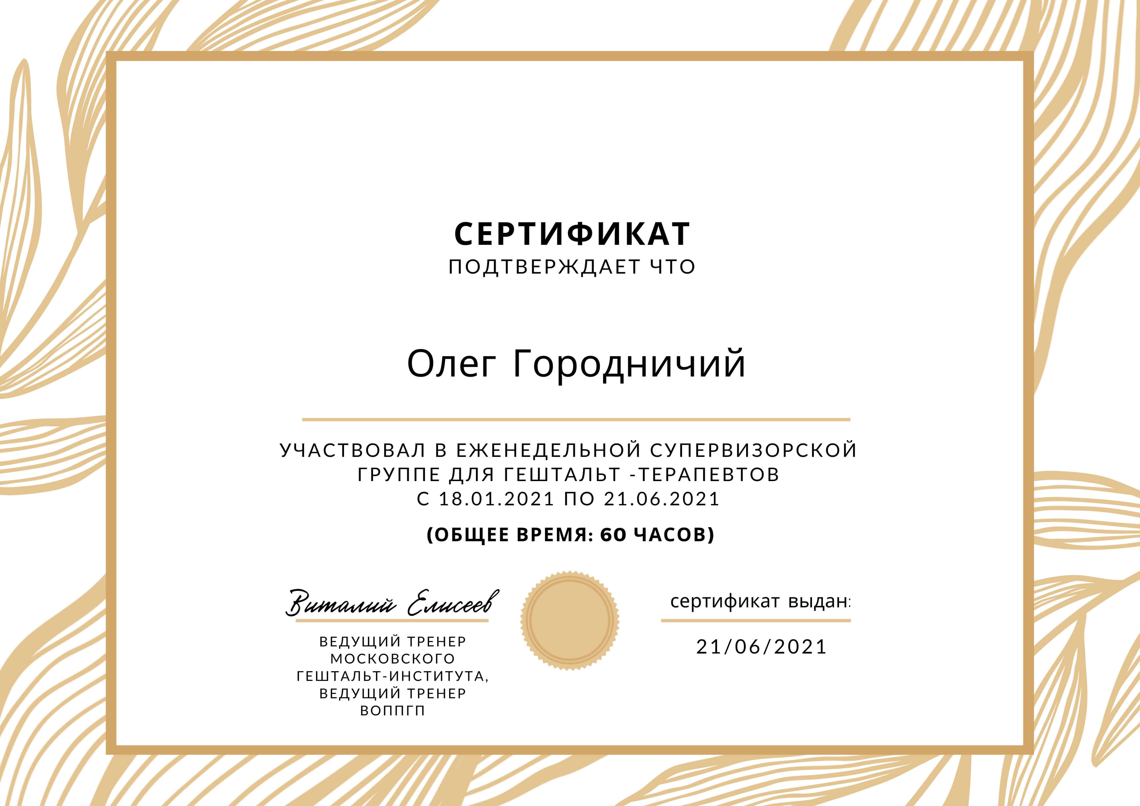 Сертифікат 3 Олег Го...