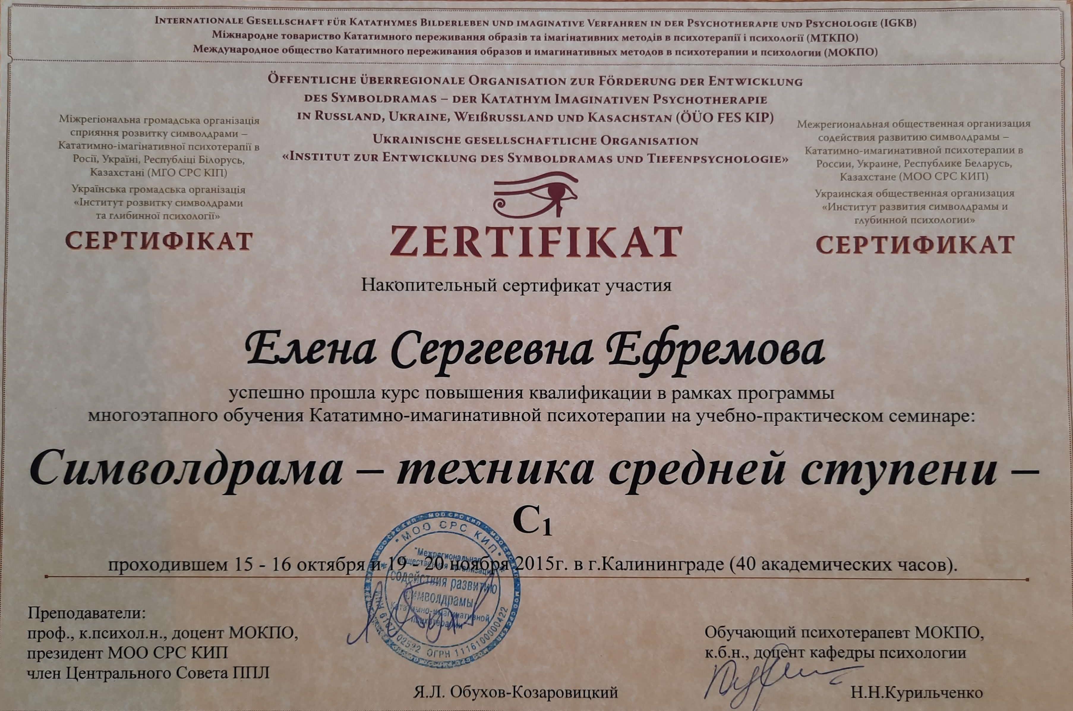 Сертификат 3 Елена Еф...