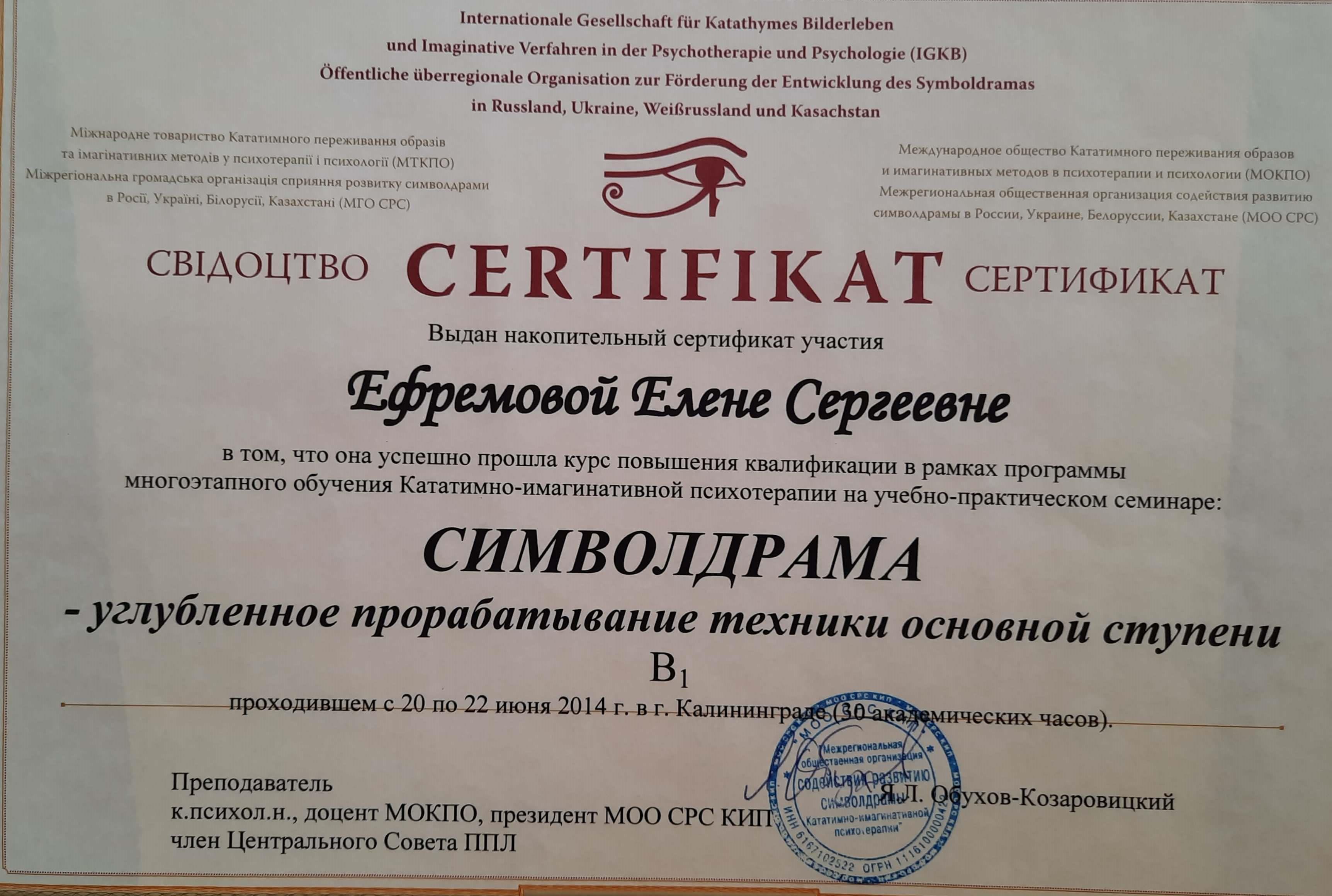 Сертификат 5 Елена Еф...