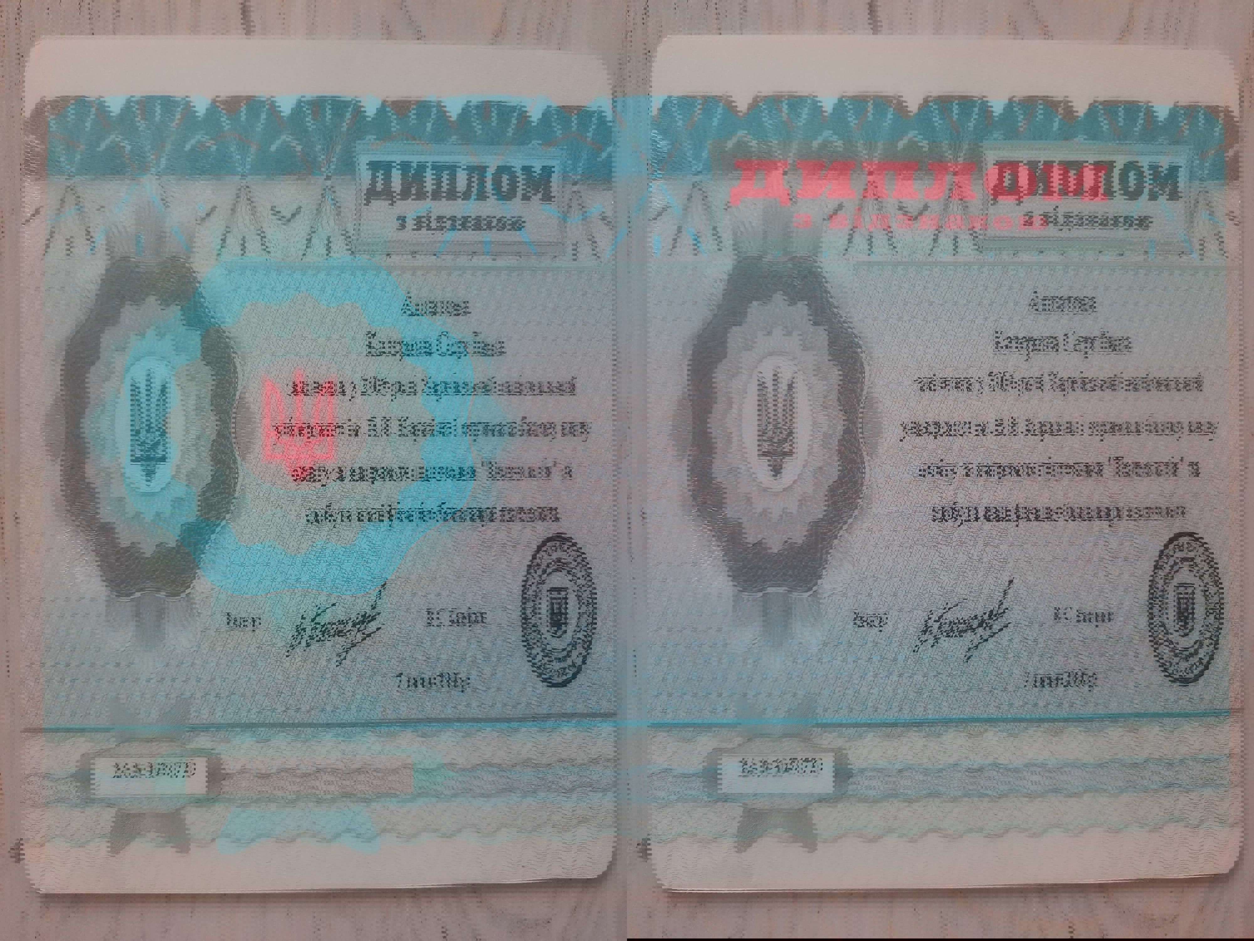 Сертификат 1 Екатерина Ал...