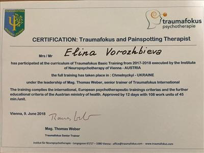 Сертификат 5 Элина Во...