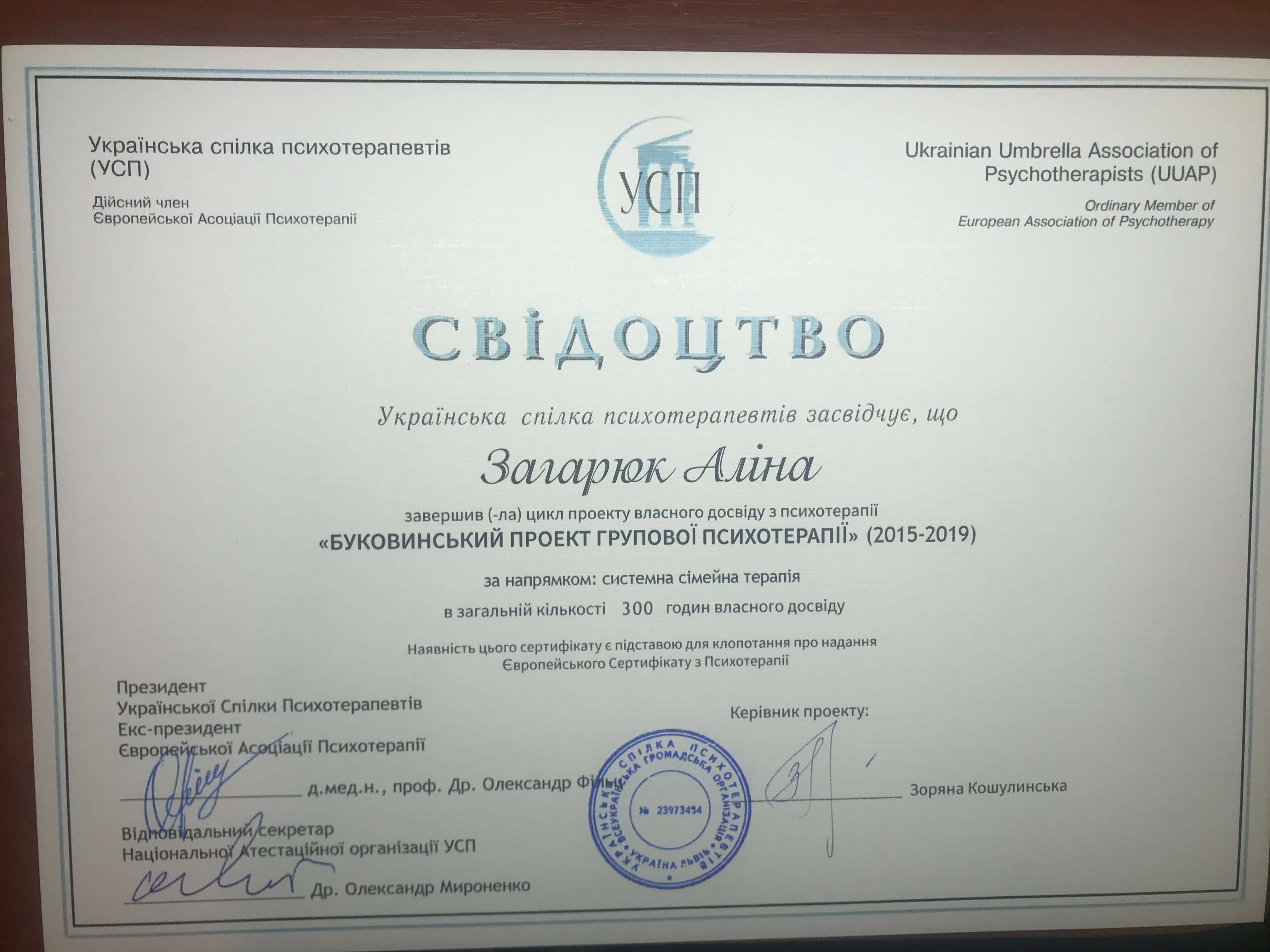 Сертификат 2 Алина За...