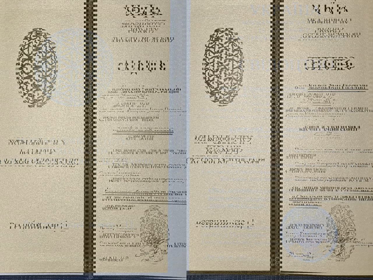 Сертифікат 2 Марина Ка...