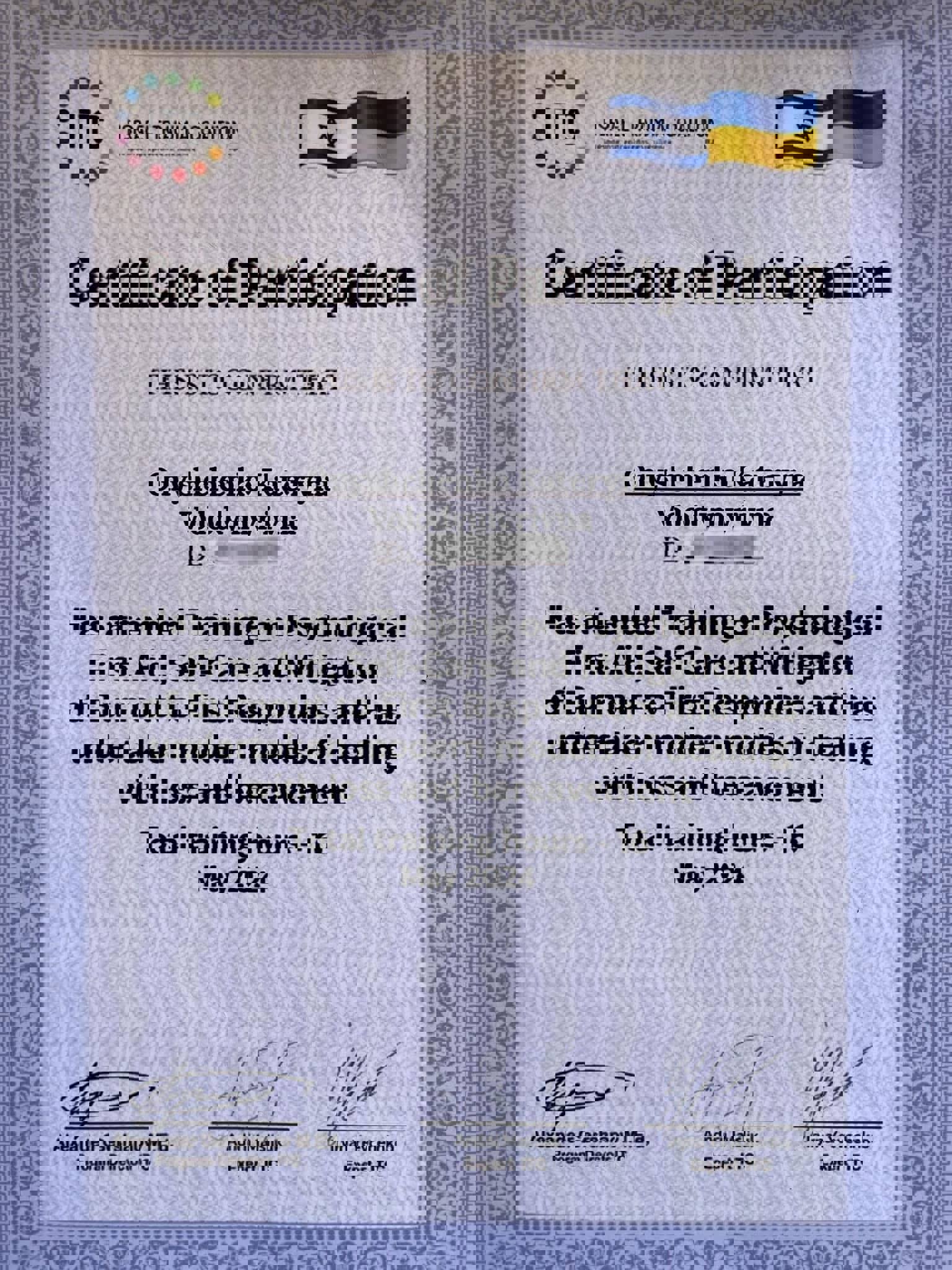 Сертификат 5 Екатерина Он...