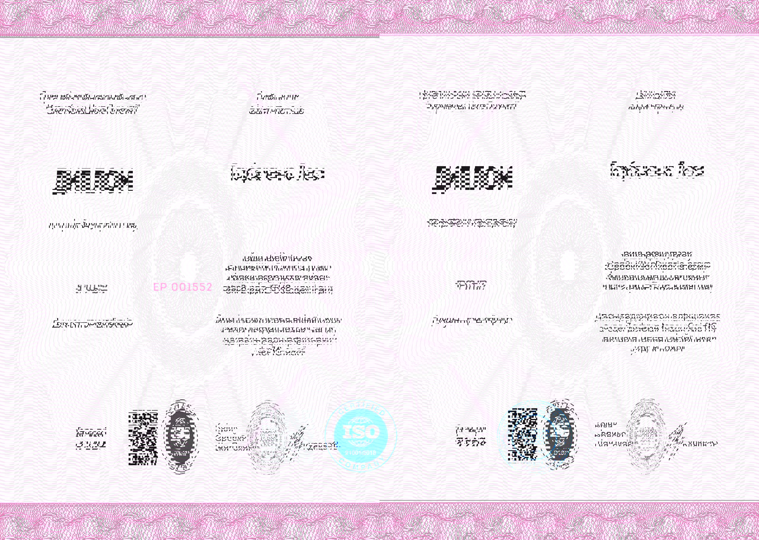 Сертификат 1 Леся Го...