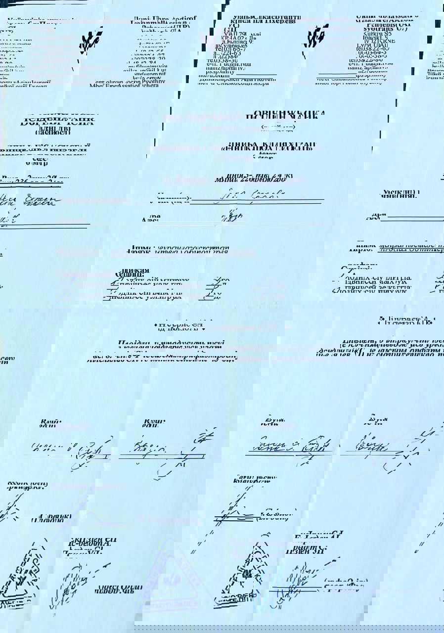 Сертифікат 4 Аліса Че...