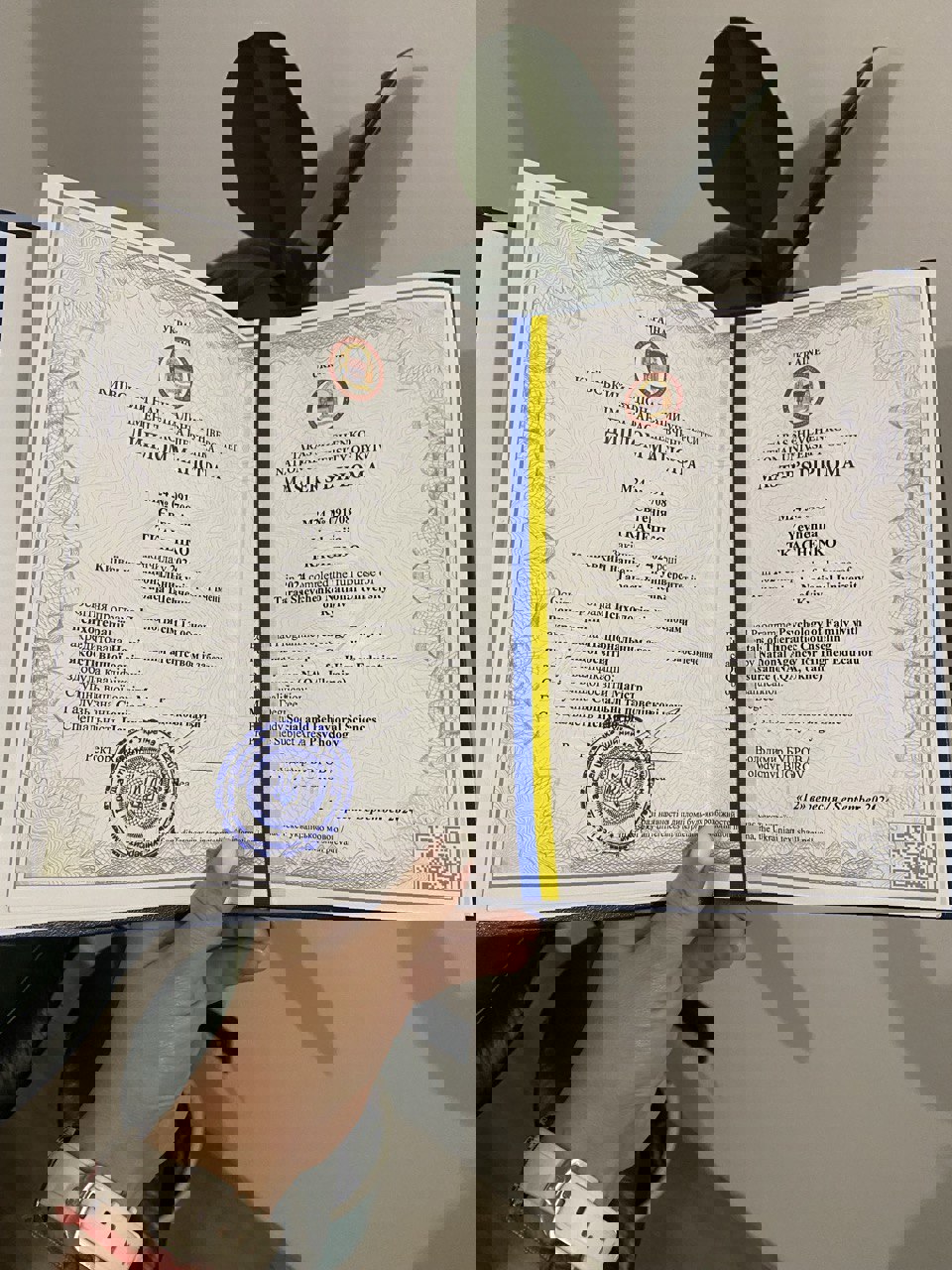 Сертификат 2 Евгения  Тк...