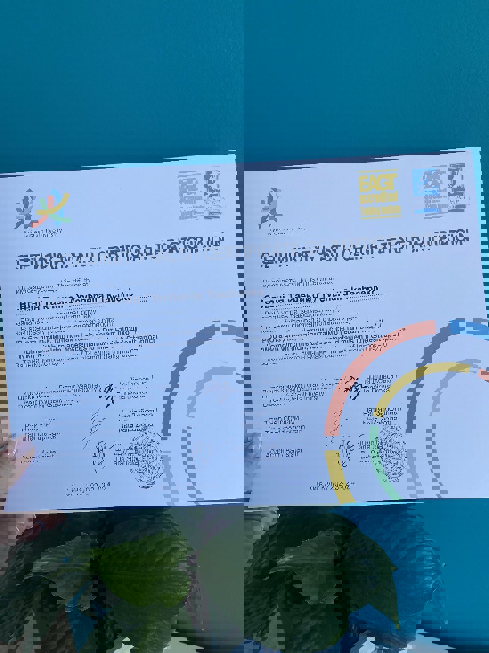 Сертификат 4 Евгения  Тк...