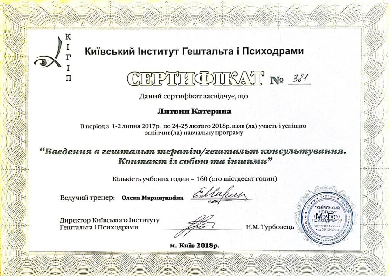 Сертификат 2 Екатерина Ли...