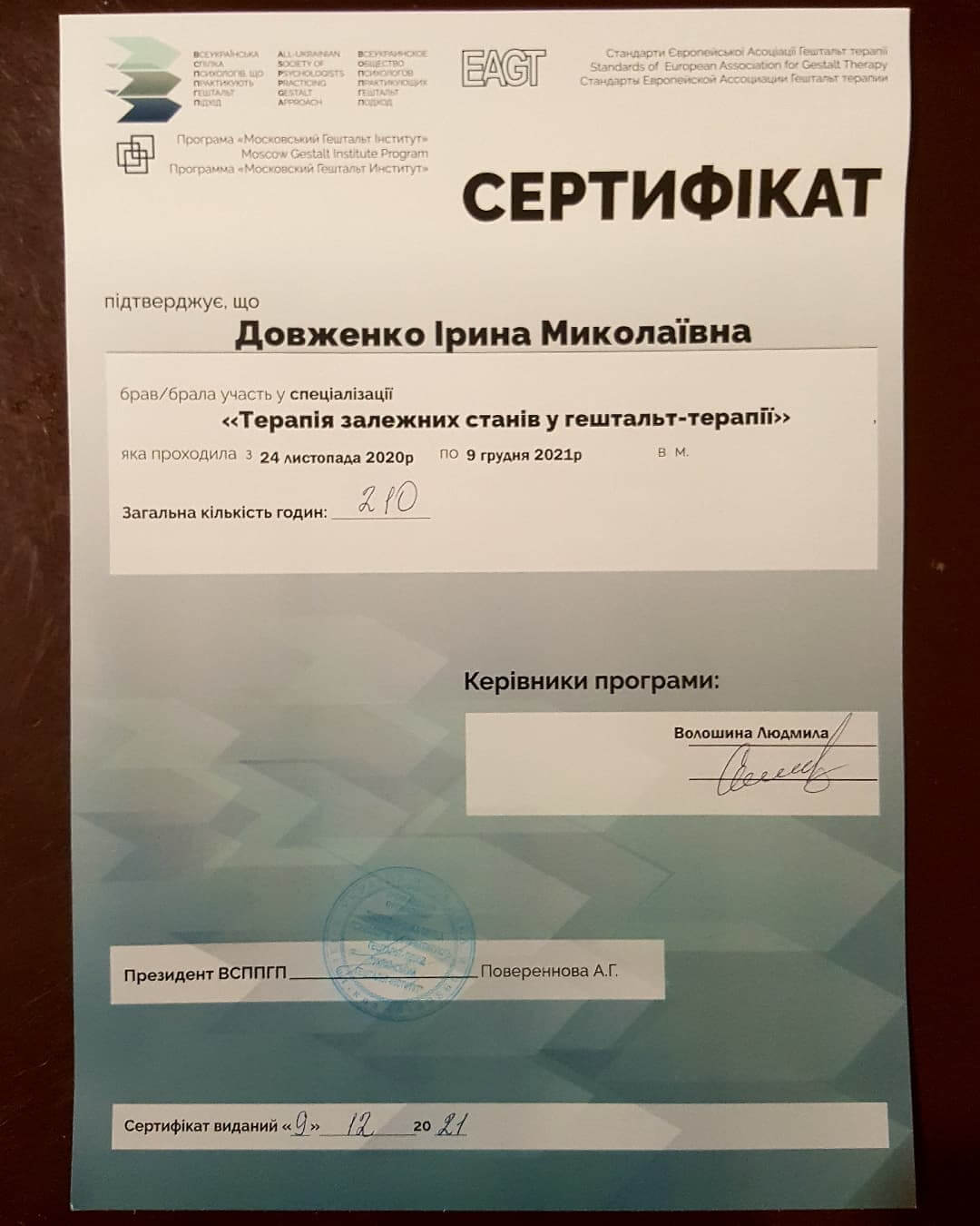 Сертифікат 2 Ірина До...