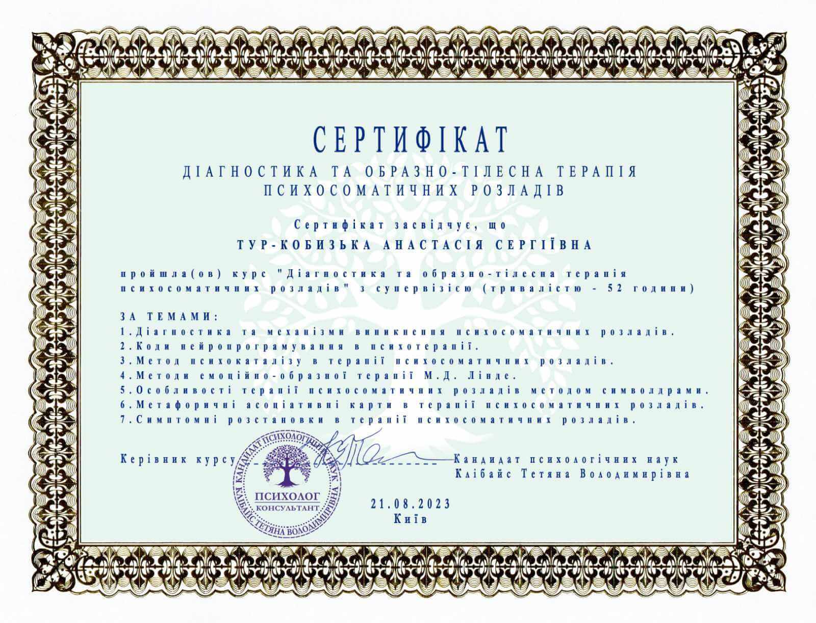 Сертифікат 2 Анастасія Ту...