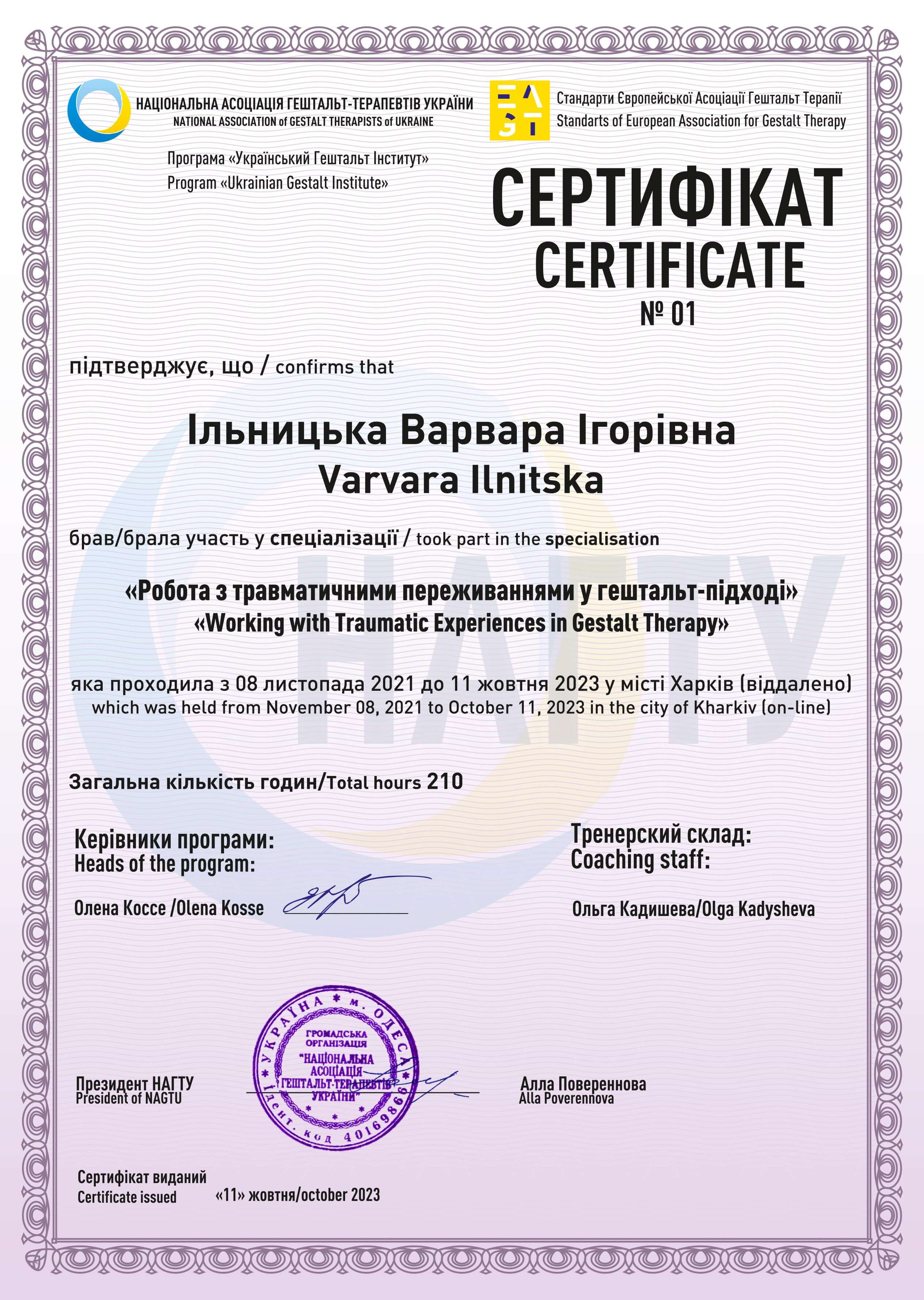 Сертифікат 2 Варвара  Іл...