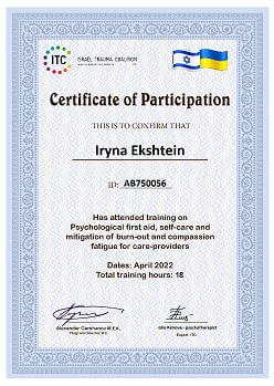 Сертификат 4 Ирина Ек...