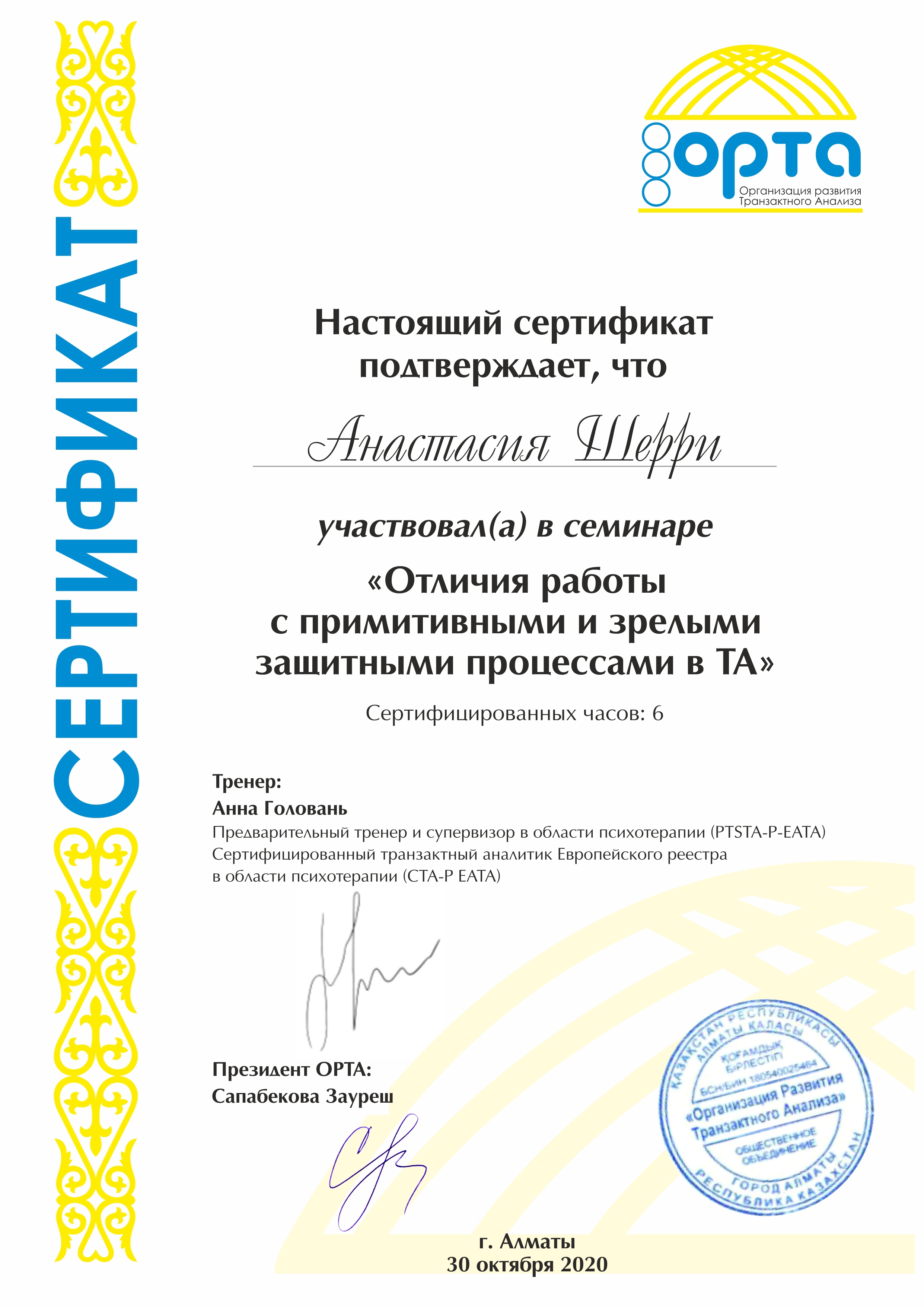 Сертификат 5 Анастасия Ше...