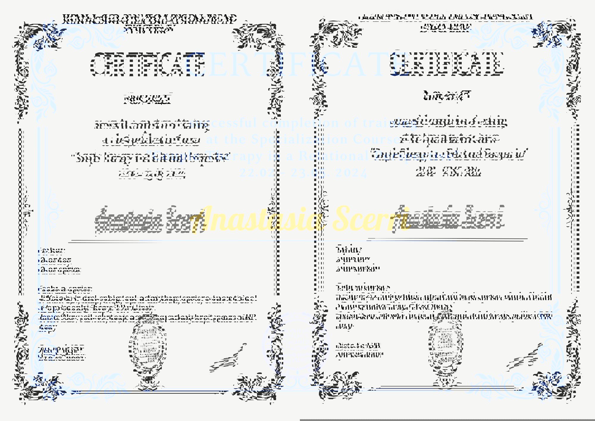 Сертификат 3 Анастасия Ше...