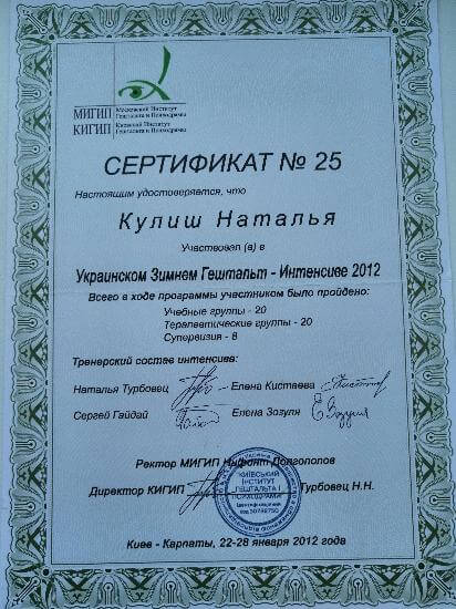 Сертификат 4 Наталья Ку...