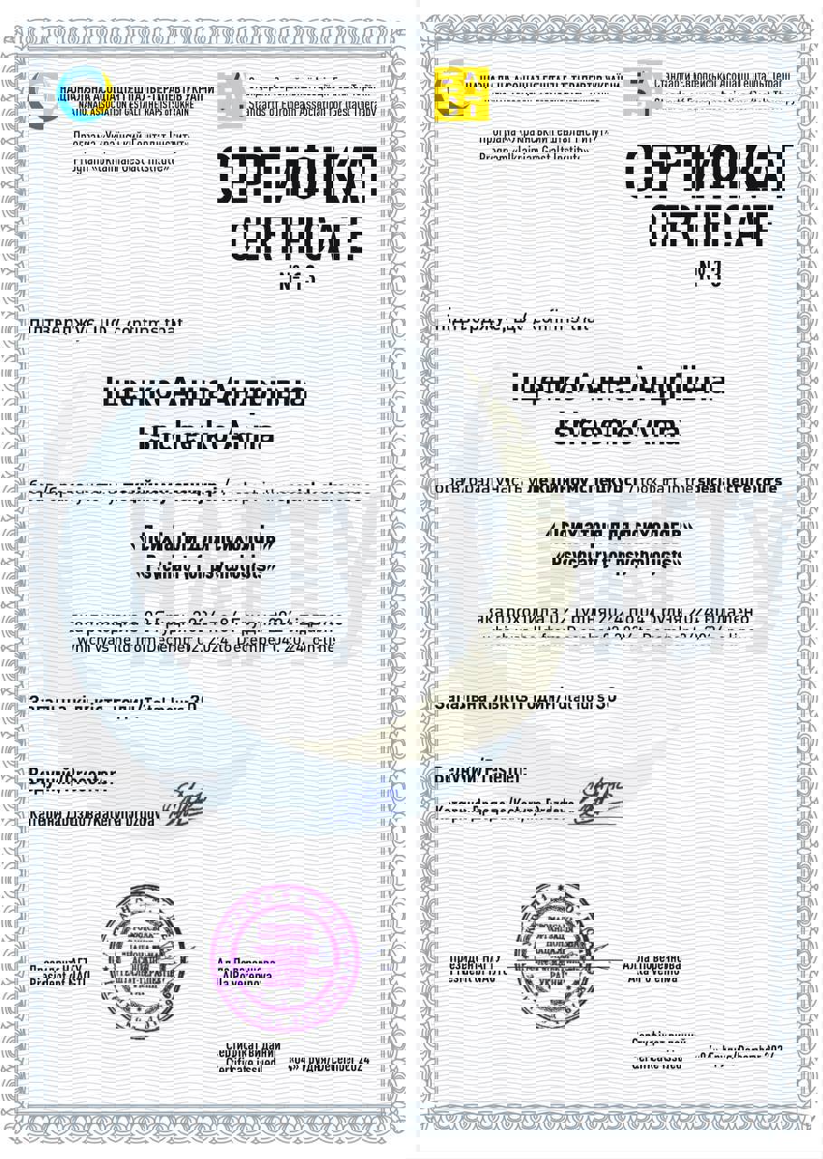 Сертифікат 4 Анна  Іщ...