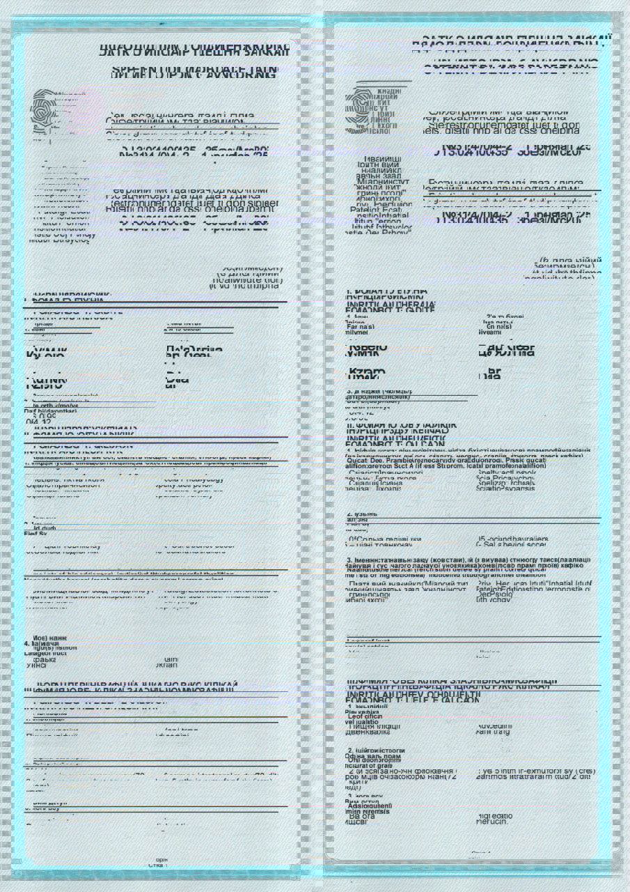 Сертифікат 2 Дар'я Ку...