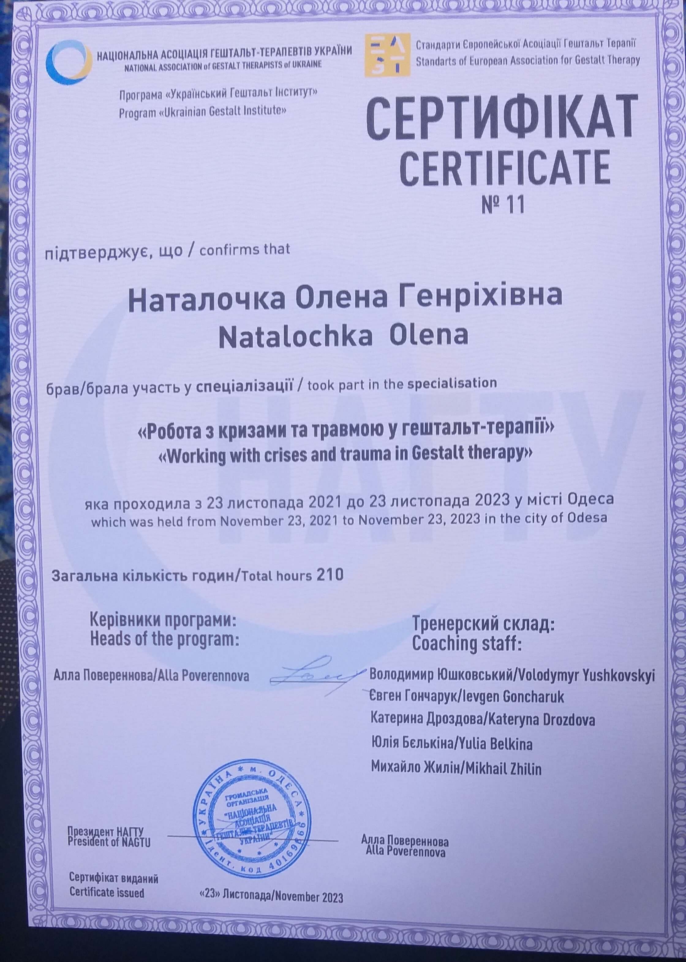 Сертификат 3 Елена На...