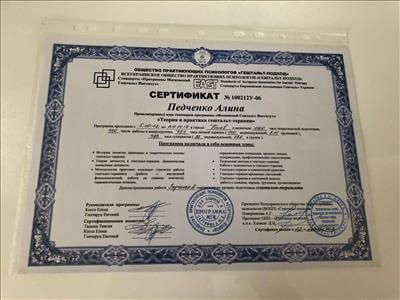 Сертификат 2 Алина Пе...
