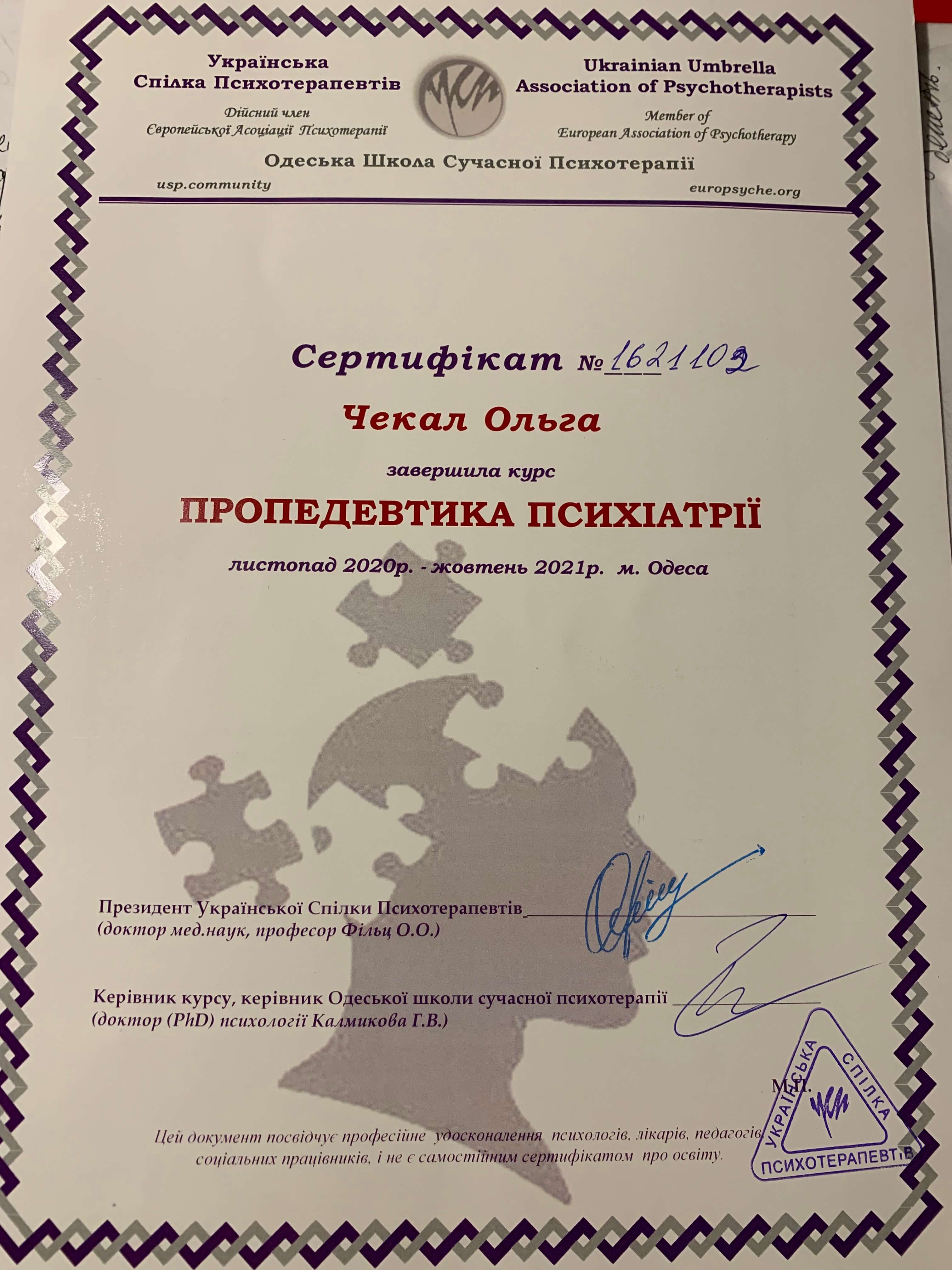 Сертификат 3 Ольга Че...