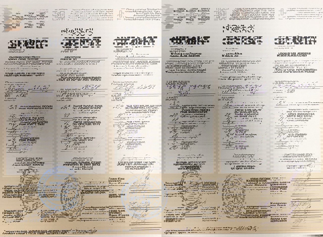 Сертификат 2 Алена Ко...