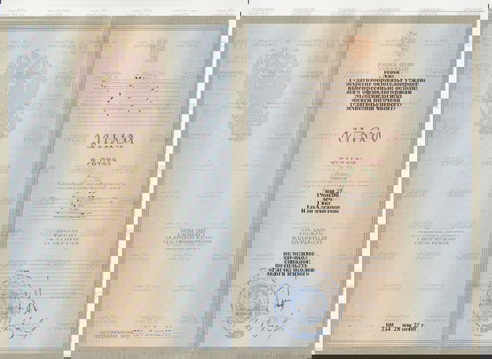 Сертификат 1 Юлия Гр...