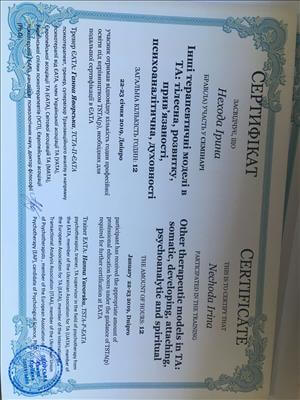 Сертификат 2 Ирина Не...