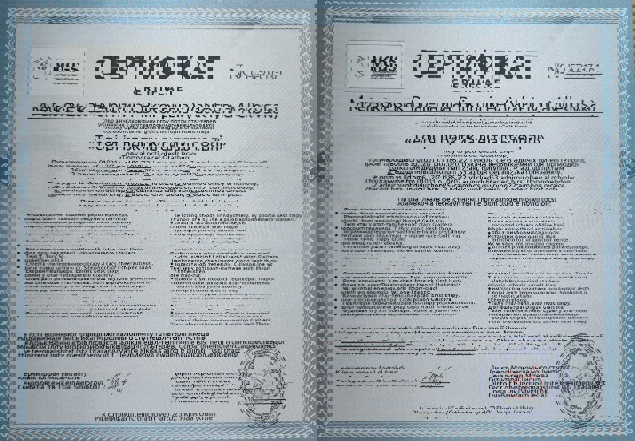 Сертифікат 2 Валентина Ме...