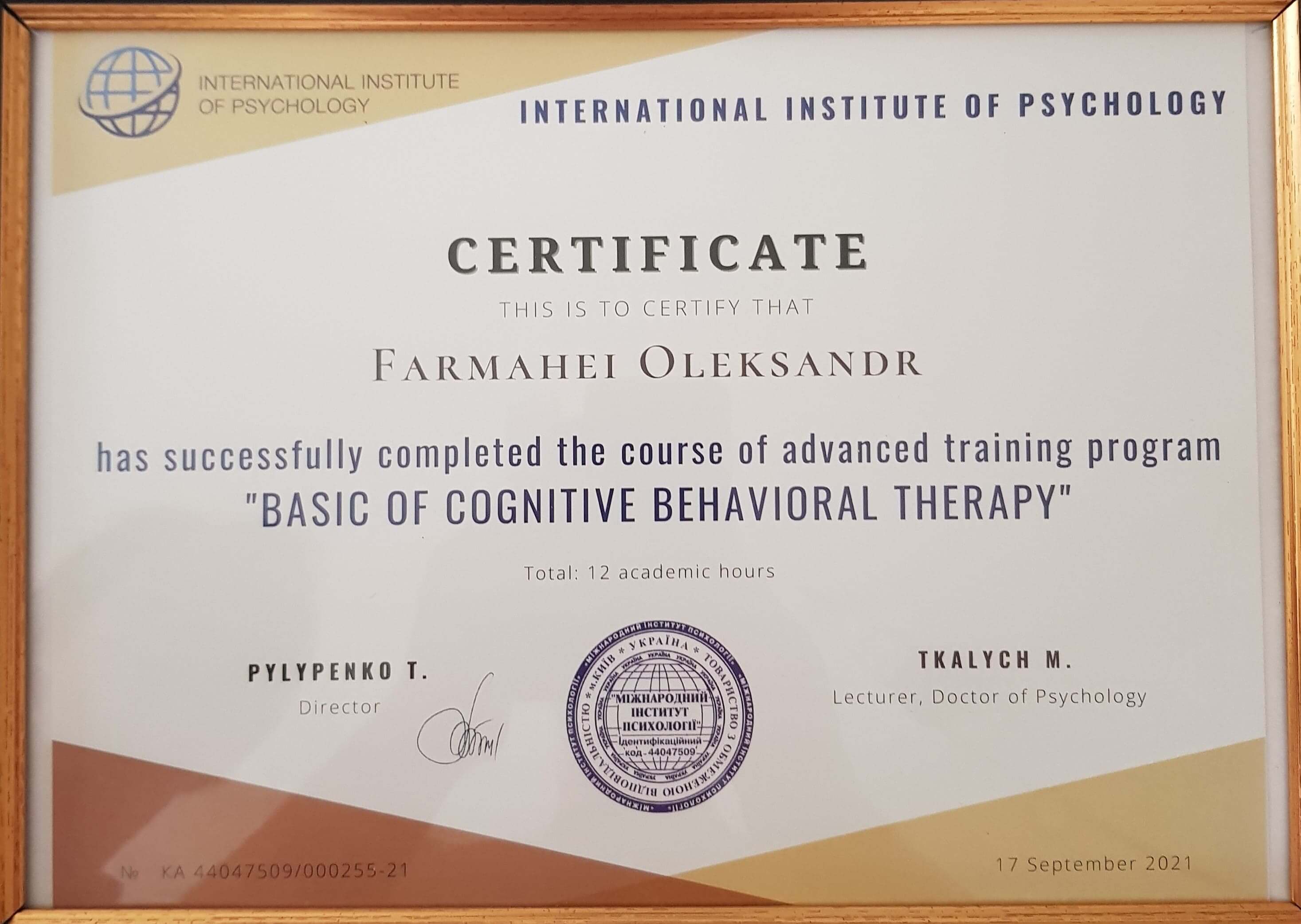 Сертифікат 4 Олександр Фа...