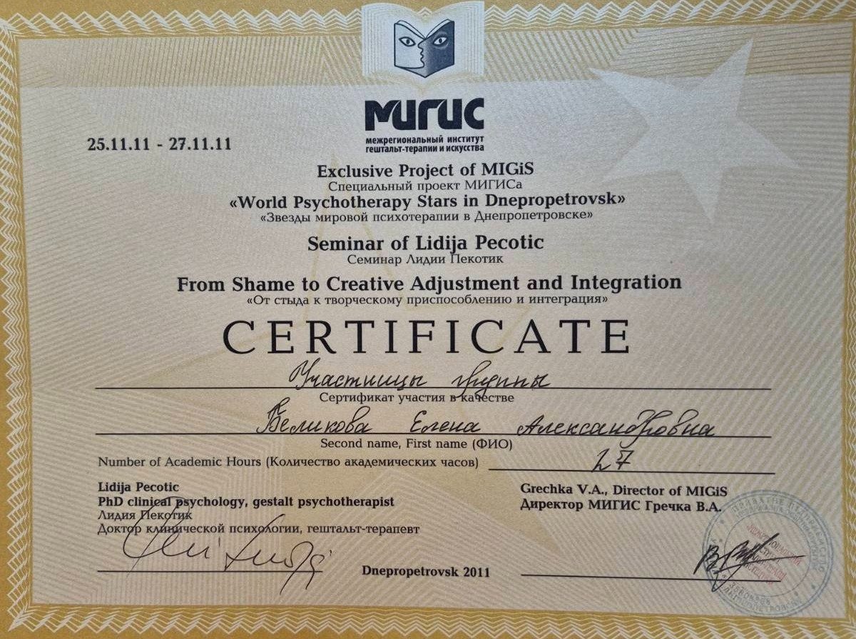 межрегиональный институт гештальт-терапии и искусства (MIGiS), Seminar of Lidija Pecotic "From Shame to Creative Adjustment and Integration"
