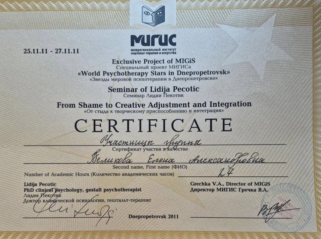 межрегиональный институт гештальт-терапии и искусства (МИГИС), Seminar of Lidija Pecotic "From Shame to Creative Adjustment and Integration"