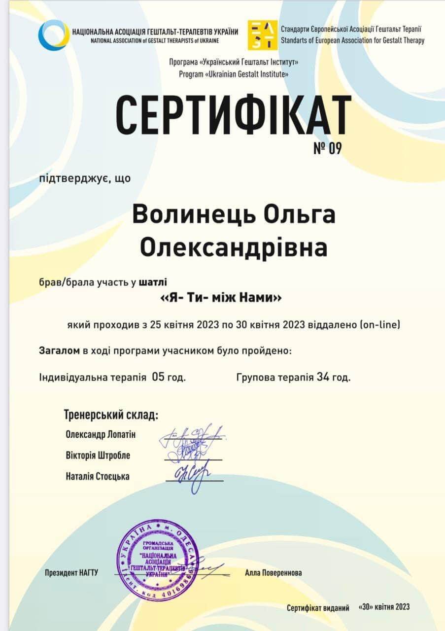 Сертификат 2 Ольга Во...